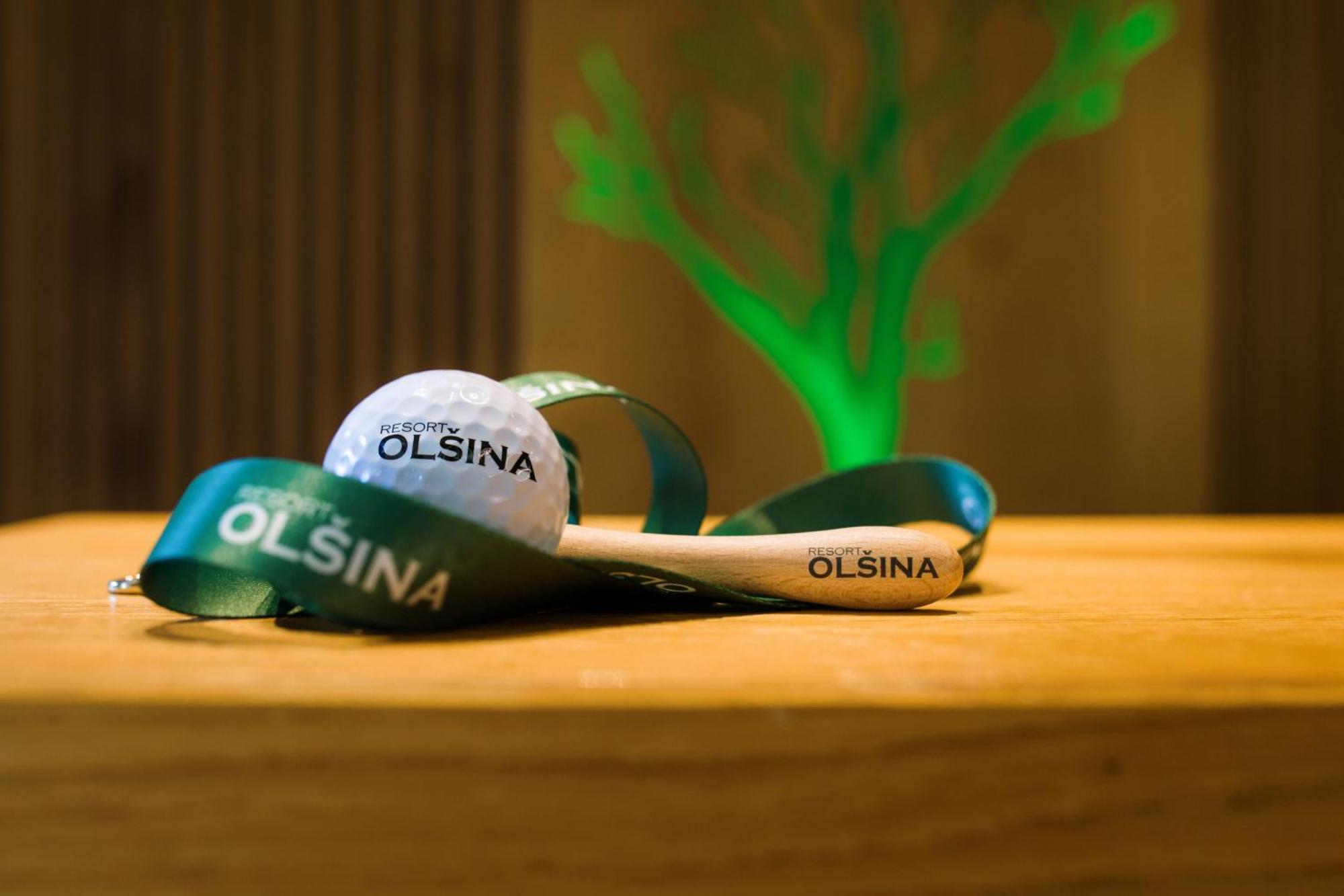 Hotel Olsina Horní Planá