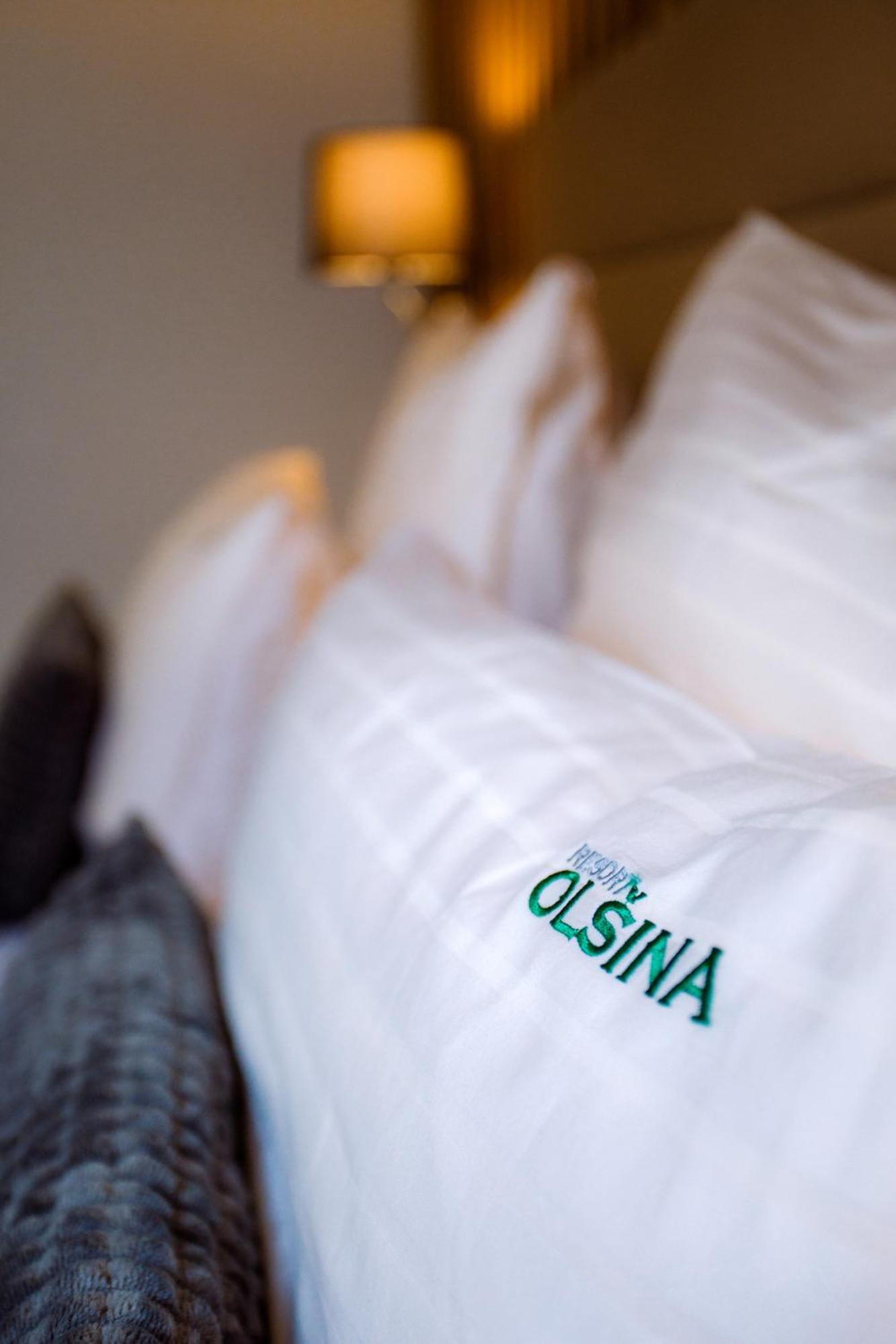 Hotel Olsina Horní Planá