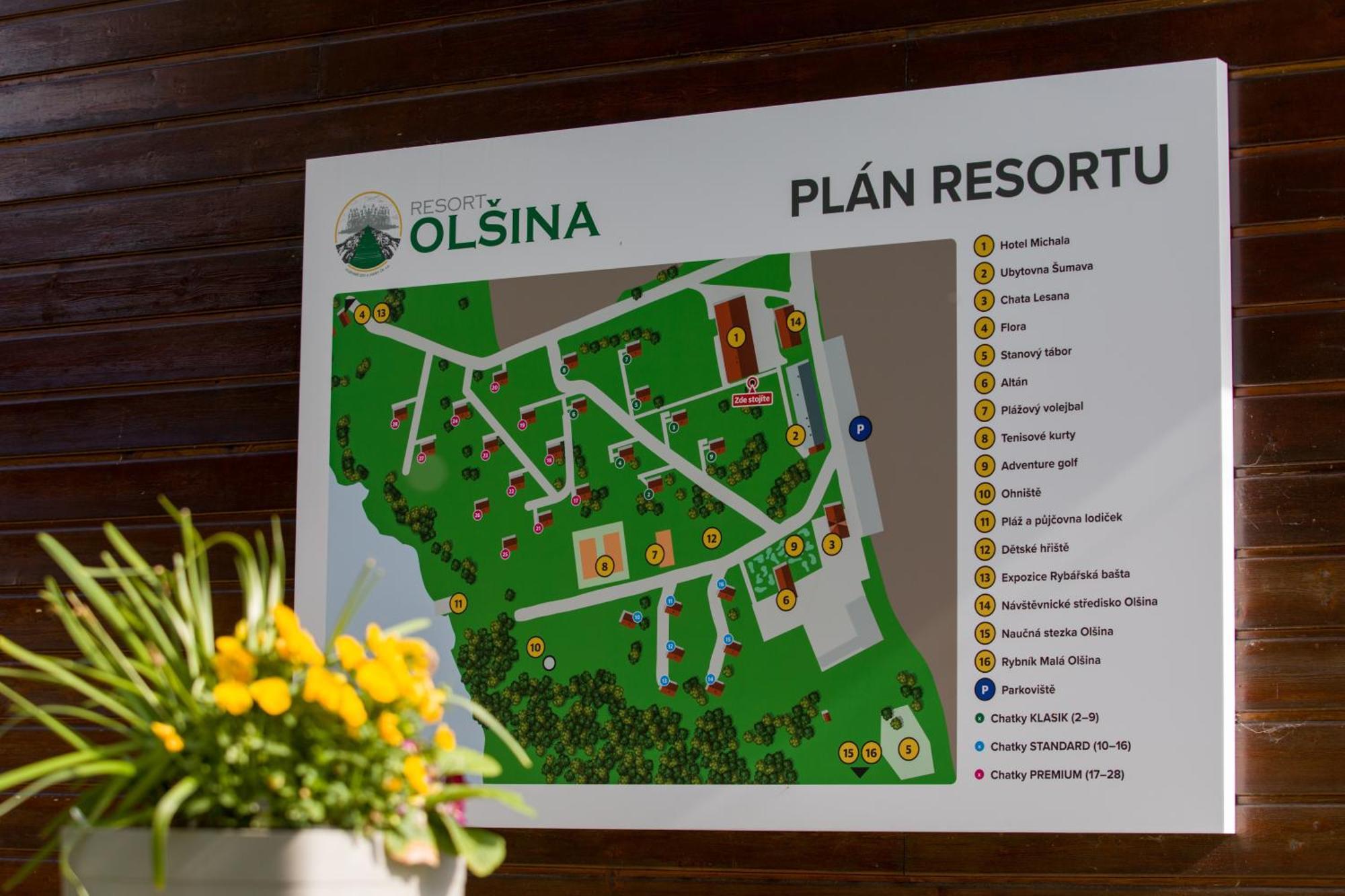 Olsina Hotel 3*